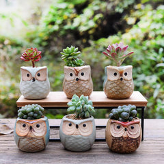 6-Piece Mini Owl Ceramic Succulent Planter Pots