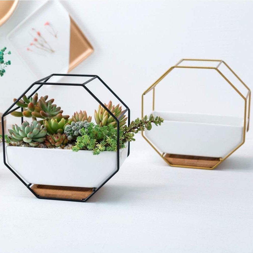 Geometric Ceramic Wall Planter with Octagonal Iron Frame