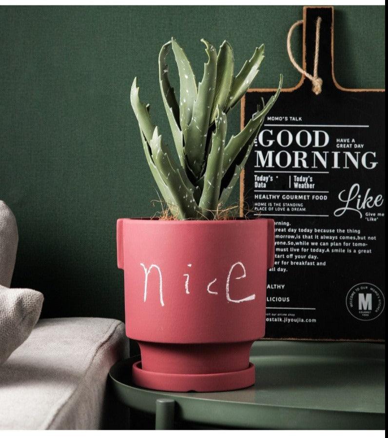 DIY Doodle Ceramic Planters