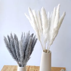 Grey Pampas Grass Decor Whit Dried Flowers Bouquet