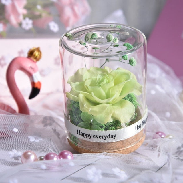 Eternal Rose Real Flower Vase